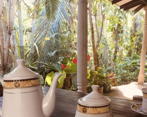 Eine Woche Sri Lanka… das Interview
