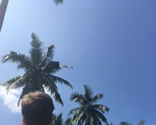 Der Süden von Sri Lanka